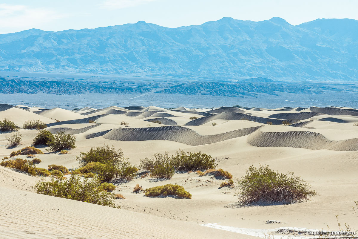 Изящные гребни песка в дюнах