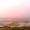 Рисовые поля, окутанные туманом
