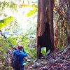 Маааленький Андрюшка фотографирует большииие дерев