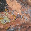 Разноцветный мох на камнях выглядит как россыпи др