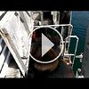 Андрюсикс и морской котик в Монтерее