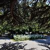 Город весьма зелёный и красивый.