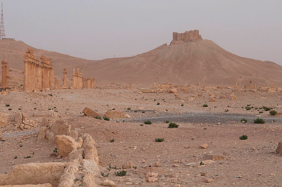 Вдали виднеется крепость Калаат аль-Маани. Надо бы