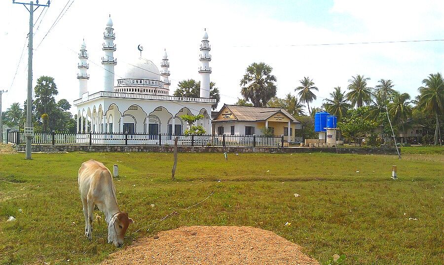 Как ни странно, вокруг много деревень с мечетями.
