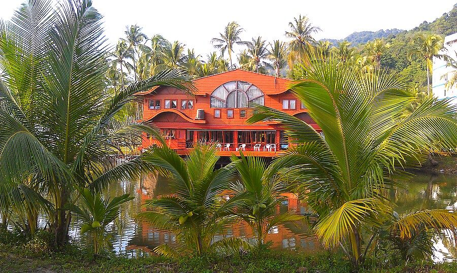 Хотели бы жить в таком домике, окруженном пальмами
