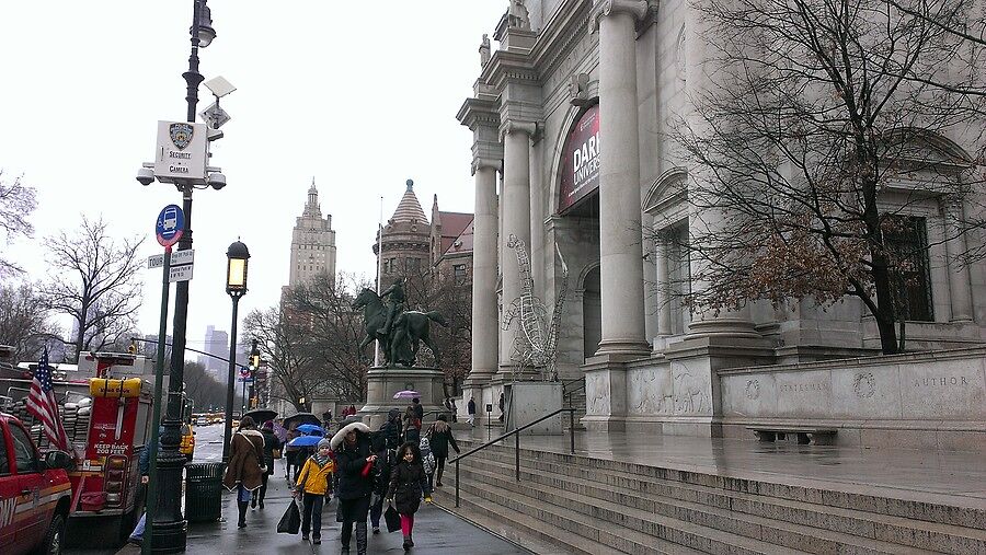 Сегодня прячемся от дождя в American Museum of Nat