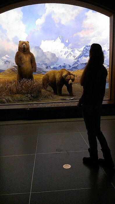 Похоже, какой-то медведь заметил Шеболдасика. Пожа