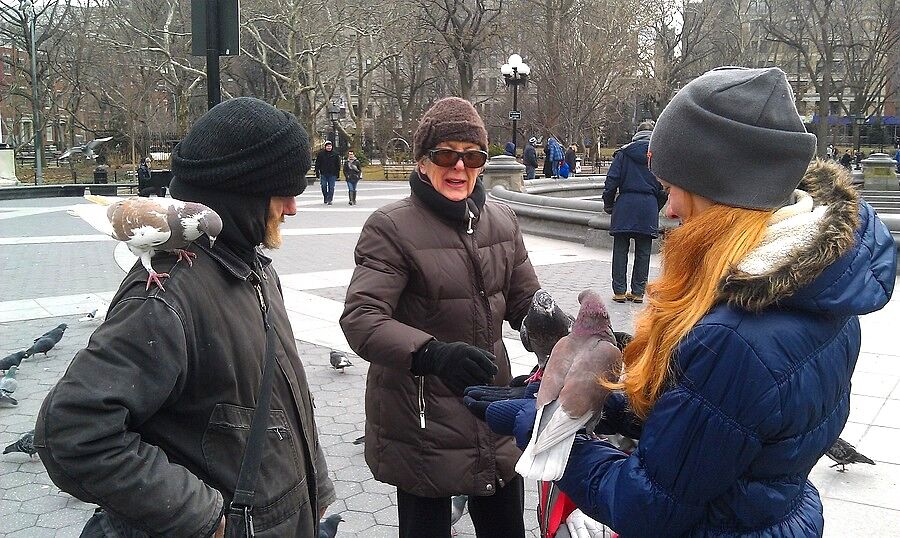В Вашингтон-сквер встретили бездомного дедулю, кот