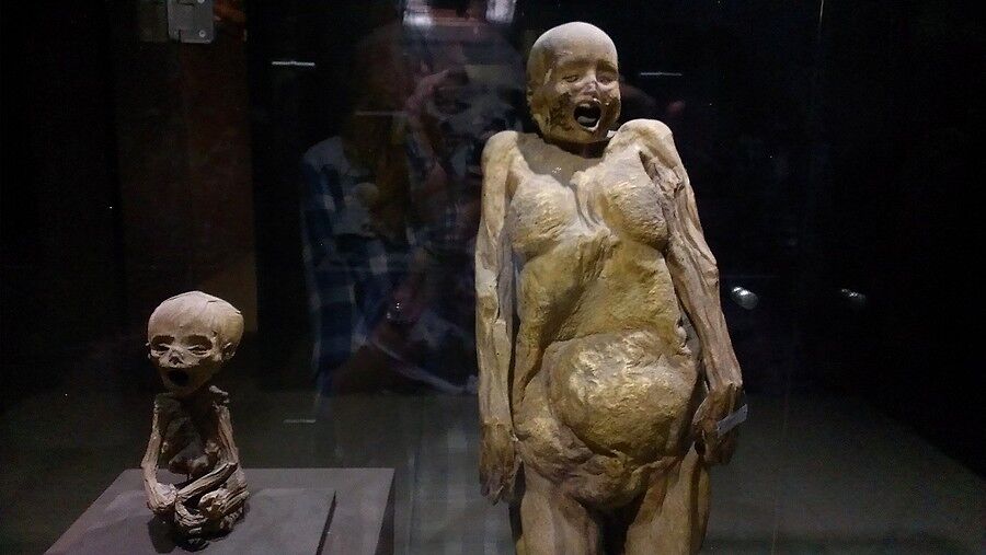 Это Фетус - самая маленькая мумия человека в мире 