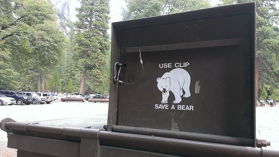 Йосемити - парк, где живут медведи, поэтому, дабы 