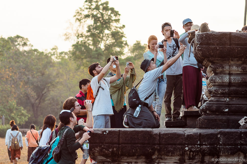 Камбоджа, туристы фотографируют обезьян в Ангкор Вате