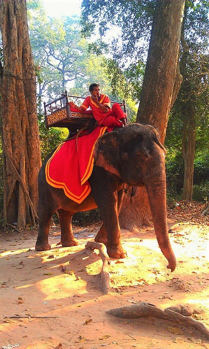 Слон из Ангкора, Камбоджа.
