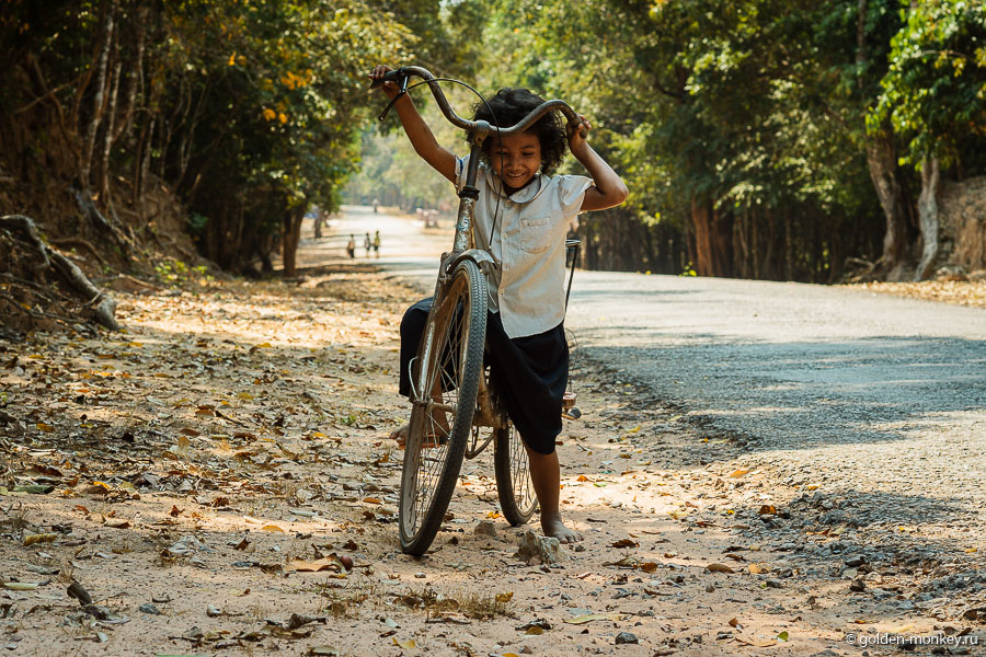 Камбоджийский детеныш, Ангкор, Камбоджа.