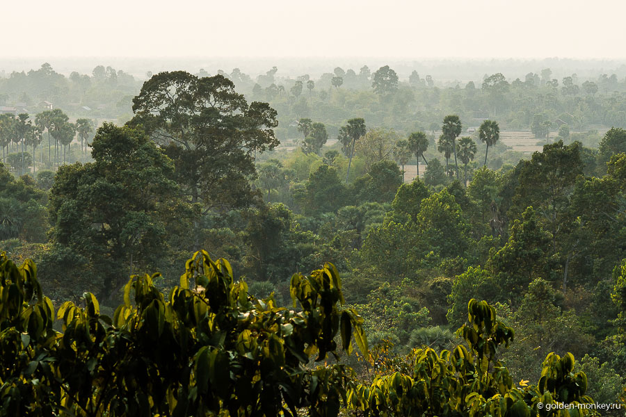 Окрестности Пном Бакенга – непролазные джунгли.