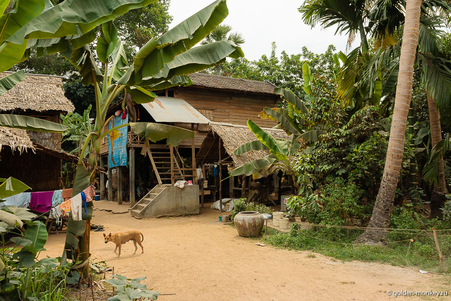 Типичное жилище деревенских жителей. Дома стоят на сваях, похоже, чтобы не заливало в сезон дождей.
