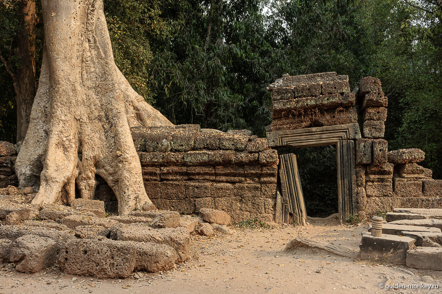 Храм Та Пром, Ангкор, Камбоджа.
