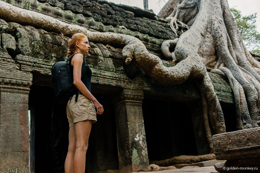 Захваченный джунглями храм Та Пром и Шеболдасик, Камбоджа.