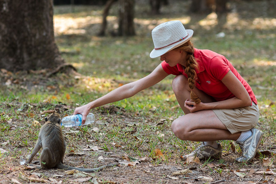 Шеболдасик поит водой обезьянку из бутылки, Ангкор Том.