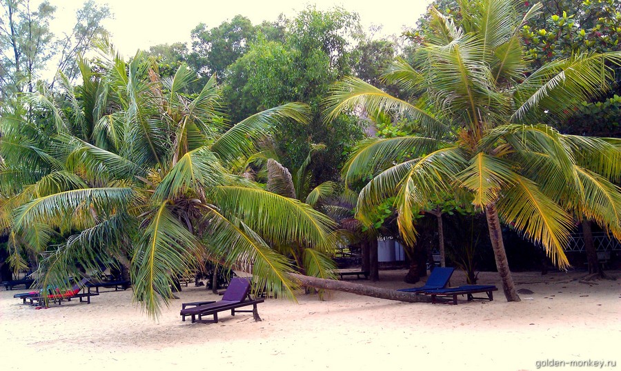 Те самые живописные изогнутые пальмы, в тени которых можно укрыться от палящего камбоджийского солнца.