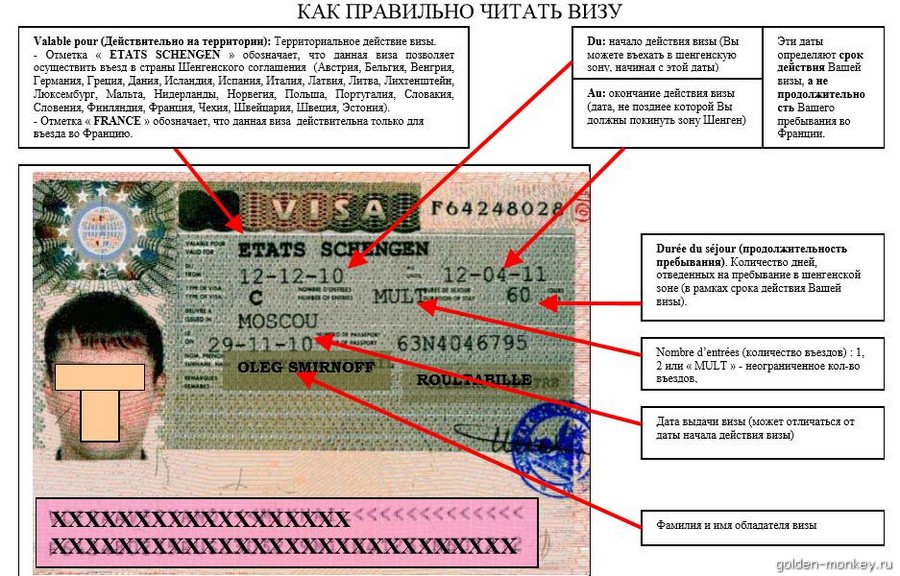 Как читать Шенгенскую визу, пример (картинка с сайта Консульства).