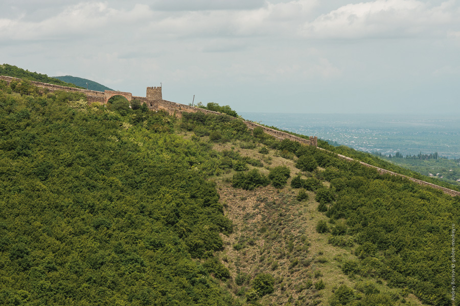 Крепость Сигнахи, стена