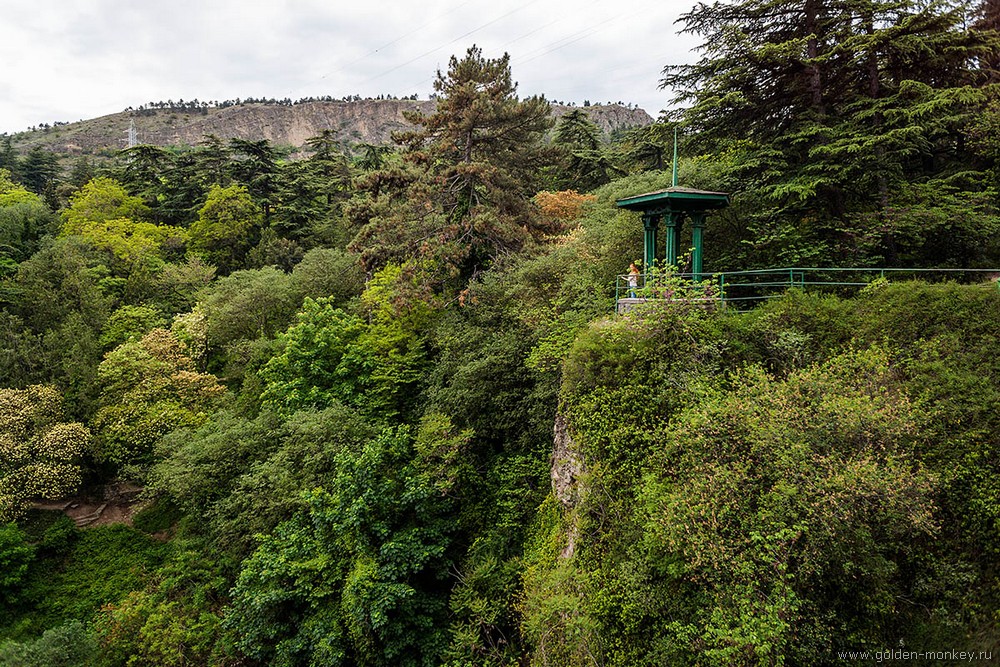 Тбилиси, Ботанический сад
