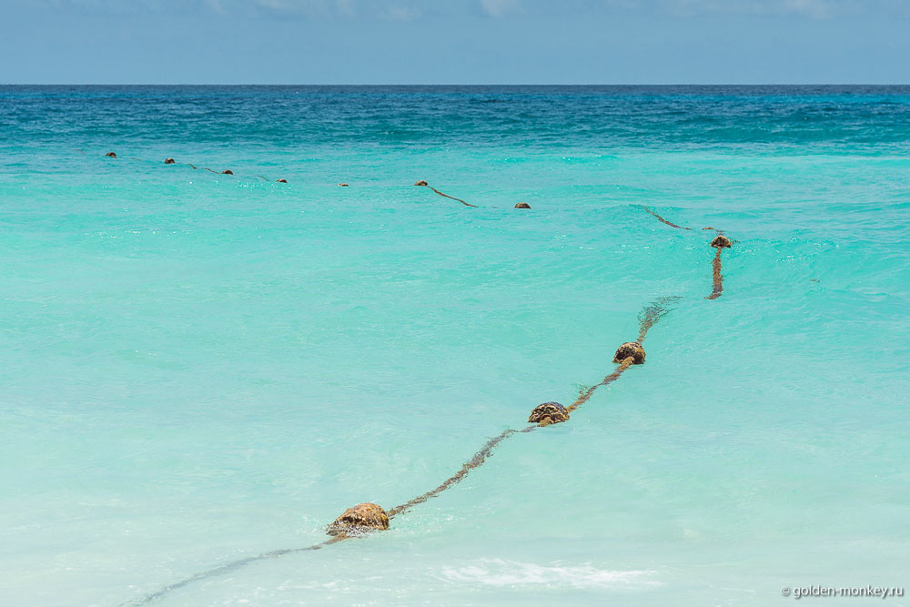Канкун, буйки на пляже Байенас