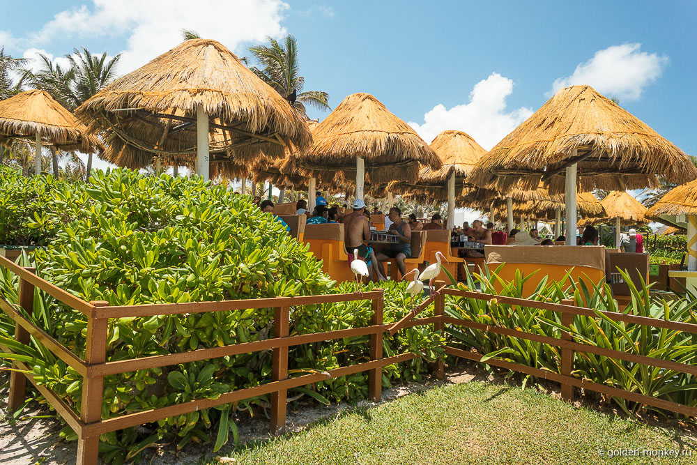 Канкун, отель на пляже Сан-Мигелито
