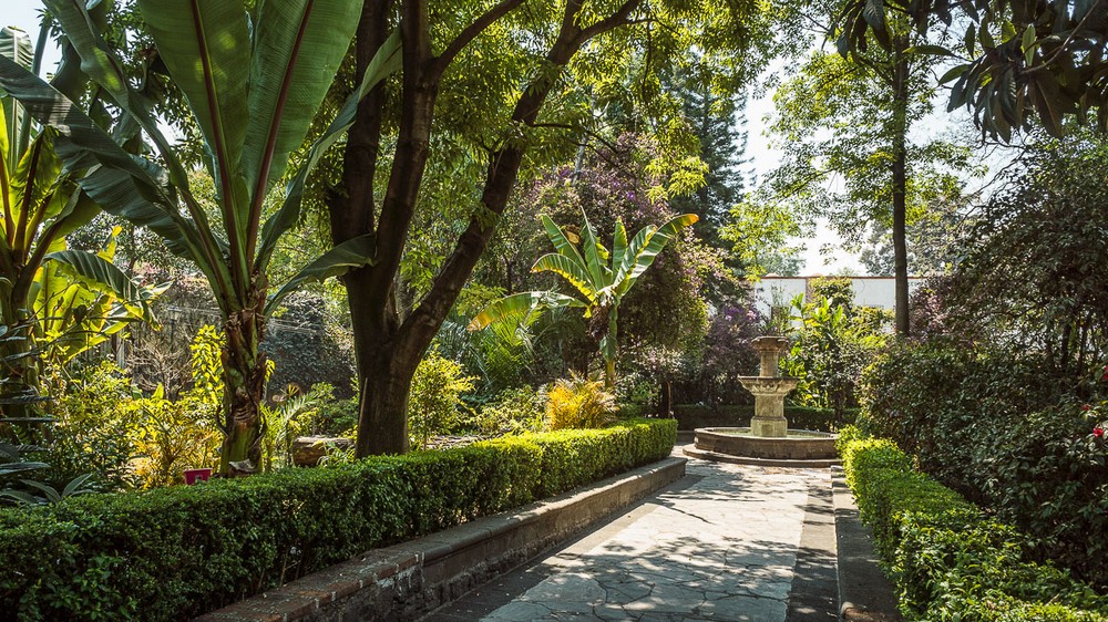 Мехико, парк в районе Сан-Анхель