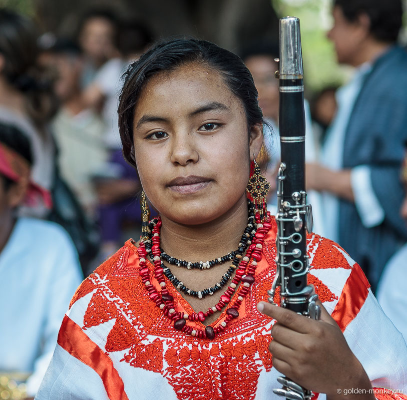 Оахака, музыканты