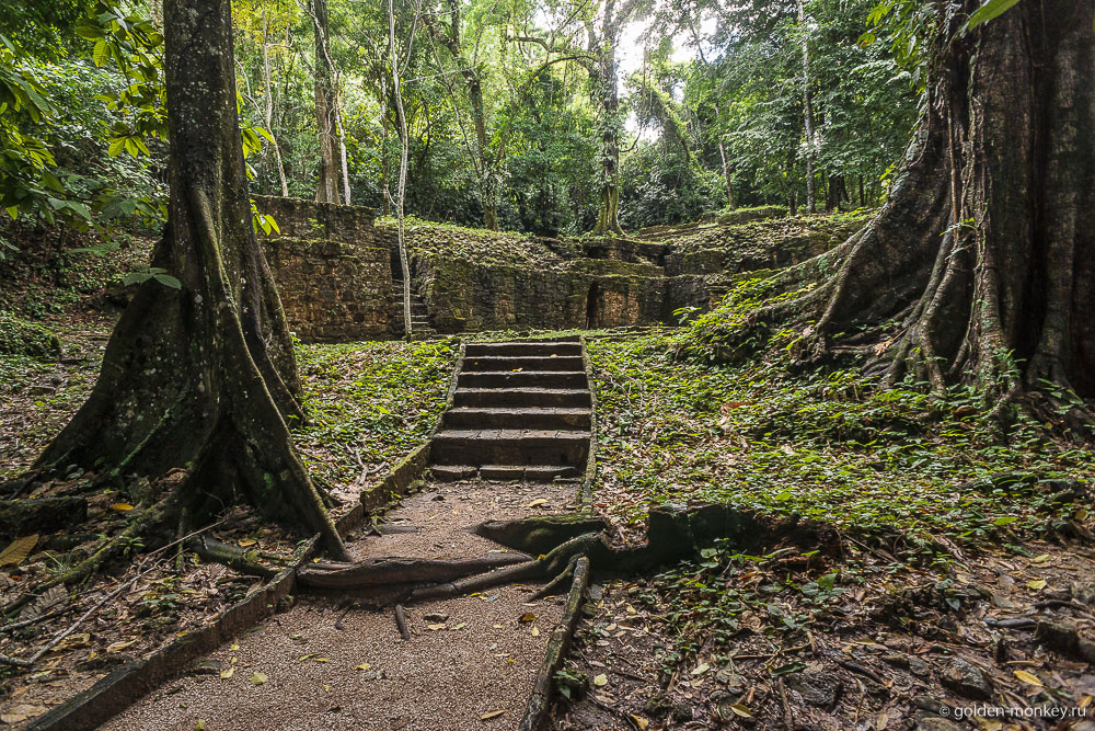 Паленке, постройки в джунглях