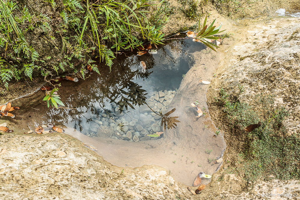 Паленке, хрустальный водоемчик в парке Агуа-Асуль