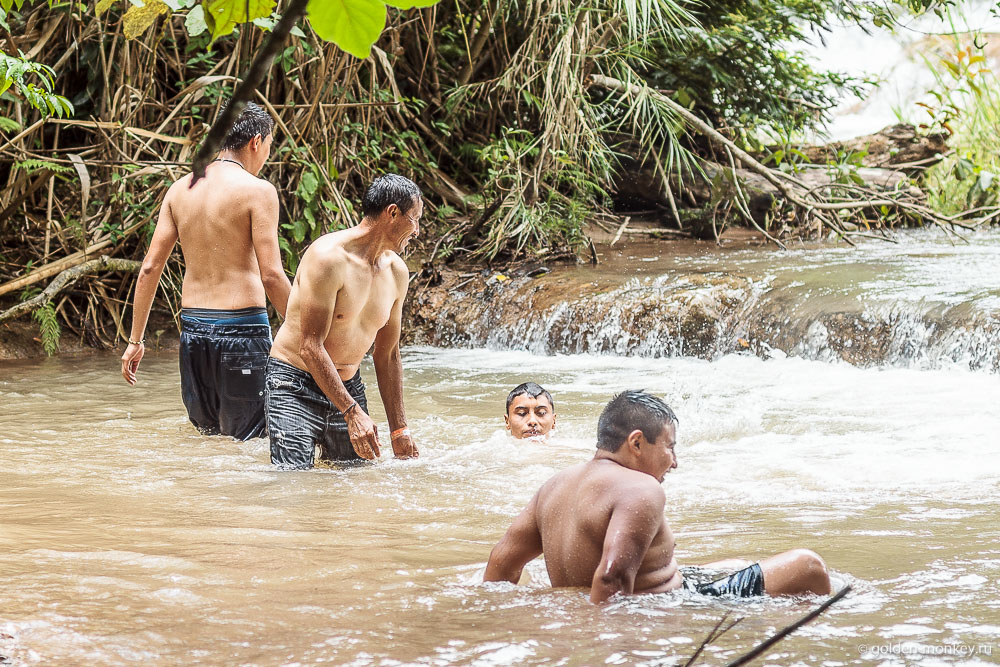 Паленке, купающиеся в ванночках в парке Агуа-Асуль