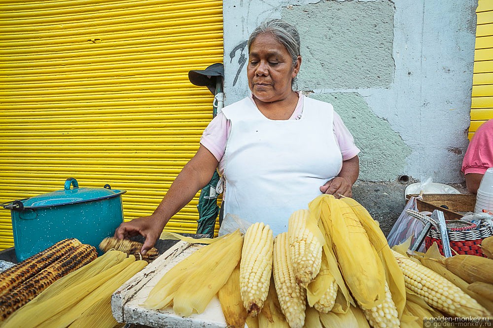 Мексика, кукуруза