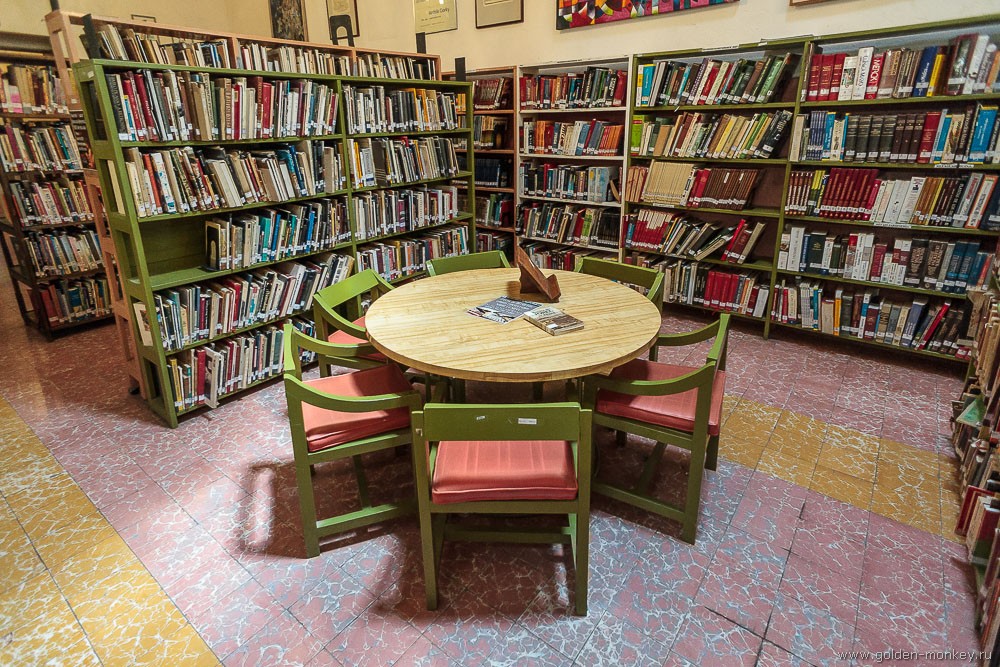 Сан-Мигель-де-Альенде, библиотека
