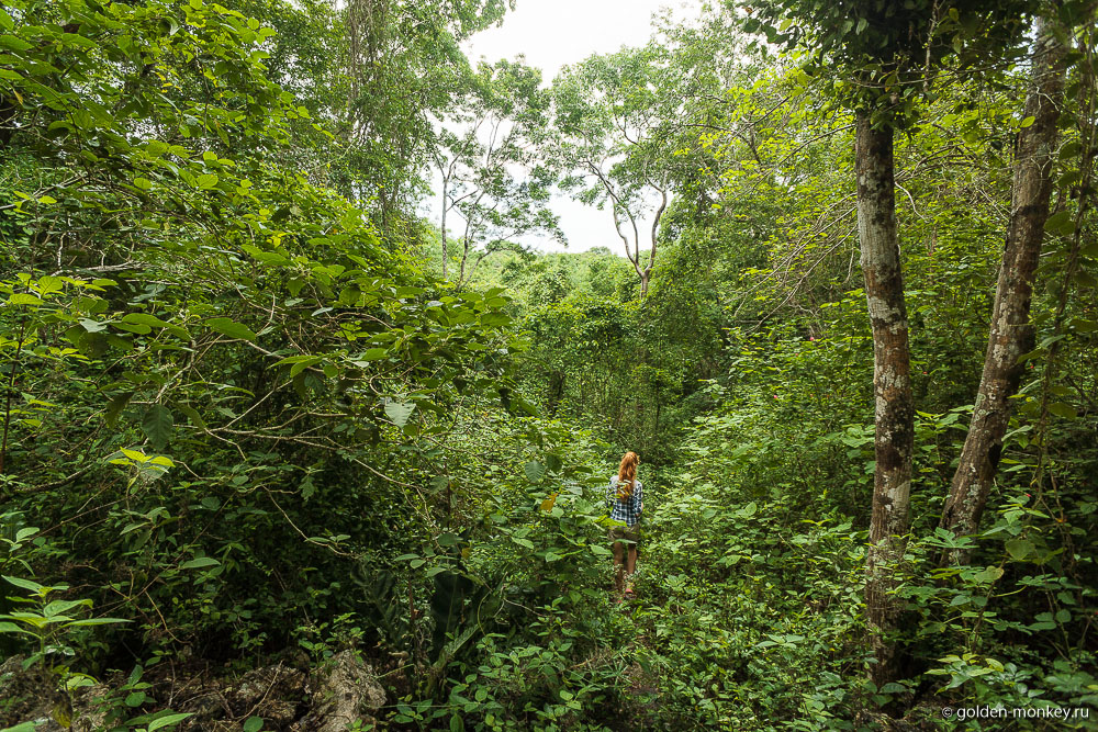 Ушмаль, тропинка посреди джунглей