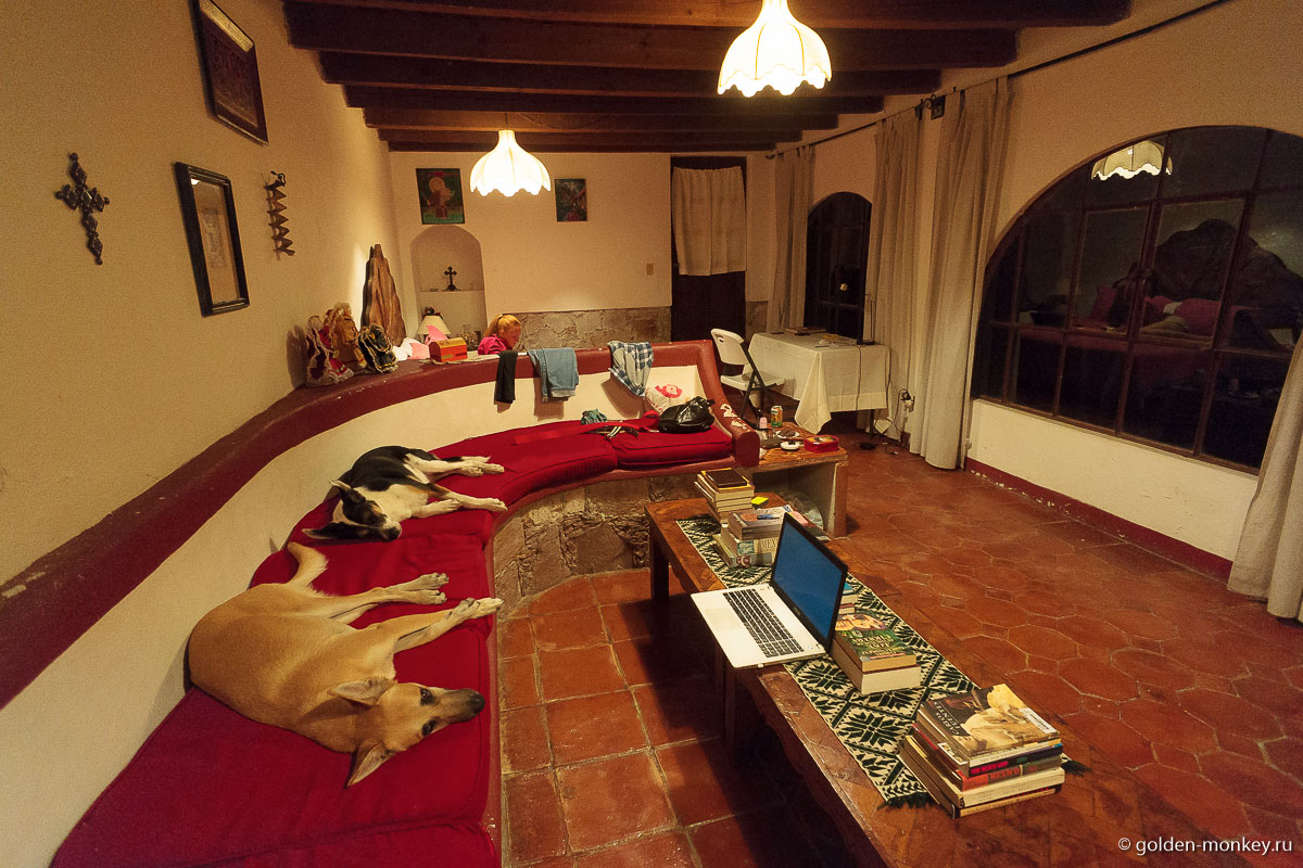 Гуанахуато, комната со встроенными собаками