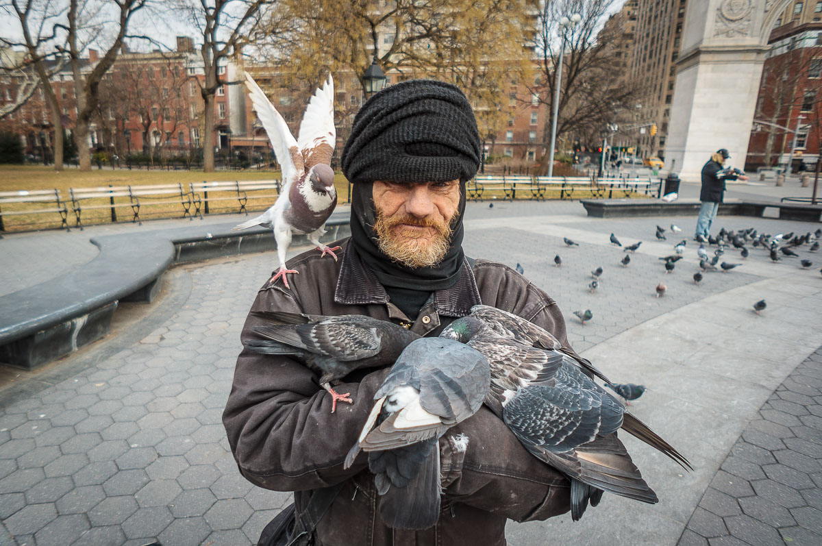 Бездомный, любимец голубей в сквере Вашингтона