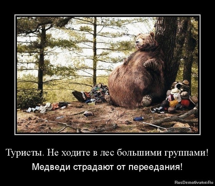 https://golden-monkey.ru/u/notes/USA/Bears/1389951616_1678809236.jpg