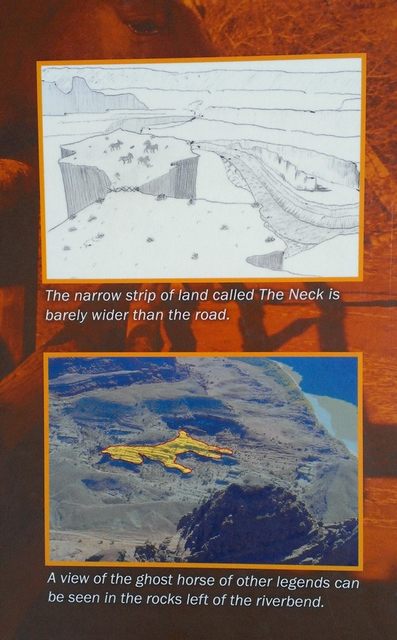 Иллюстрация к версиям происхождения названия парка Мертвой Лошади.