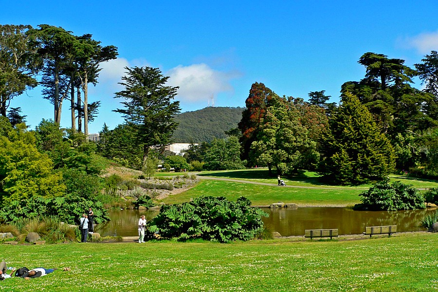 Ботанический сад в парке Золотые Ворота, Сан-Франциско.