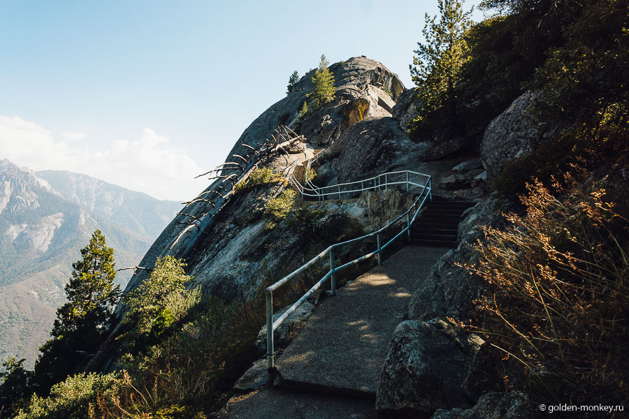 Лестница, ведущая на вершину горы – все чинно и удобно, как, впрочем, и повсюду в парке Секвойя.