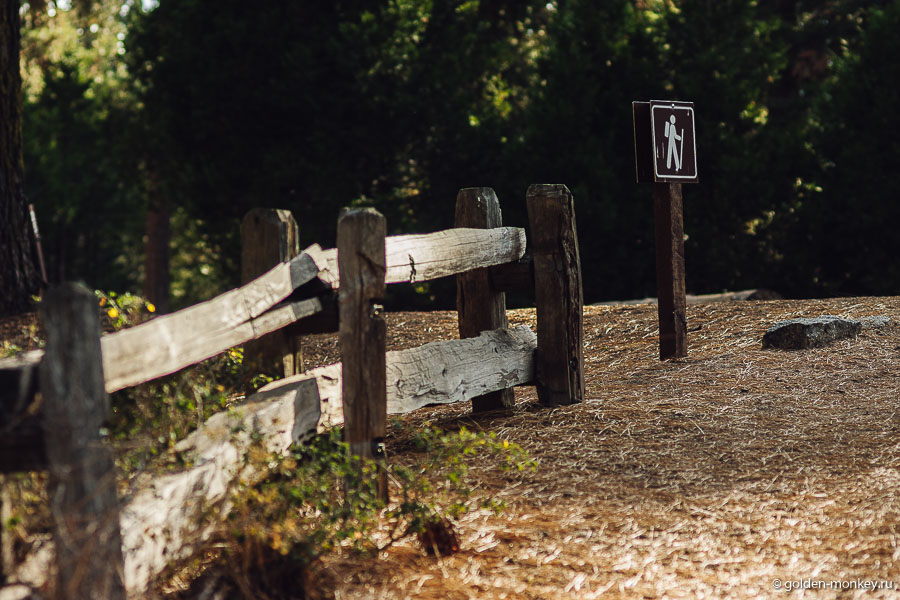 Знак, обозначающий туристическую тропинку в парке Кингз-Каньон, Калифорния, США.