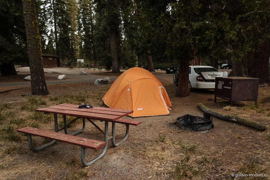 Место в кемпинге Azalea Campground, парк Кингз-Каньон, Калифорния, США.