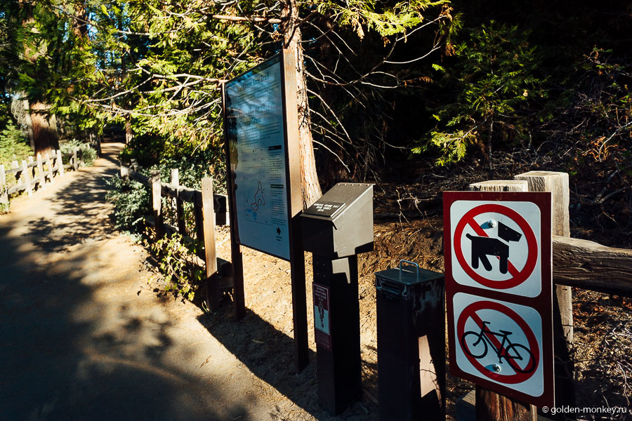 Таблички, запрещающие проезд по тропинкам на велосипеде и проход в трейлы с животными.