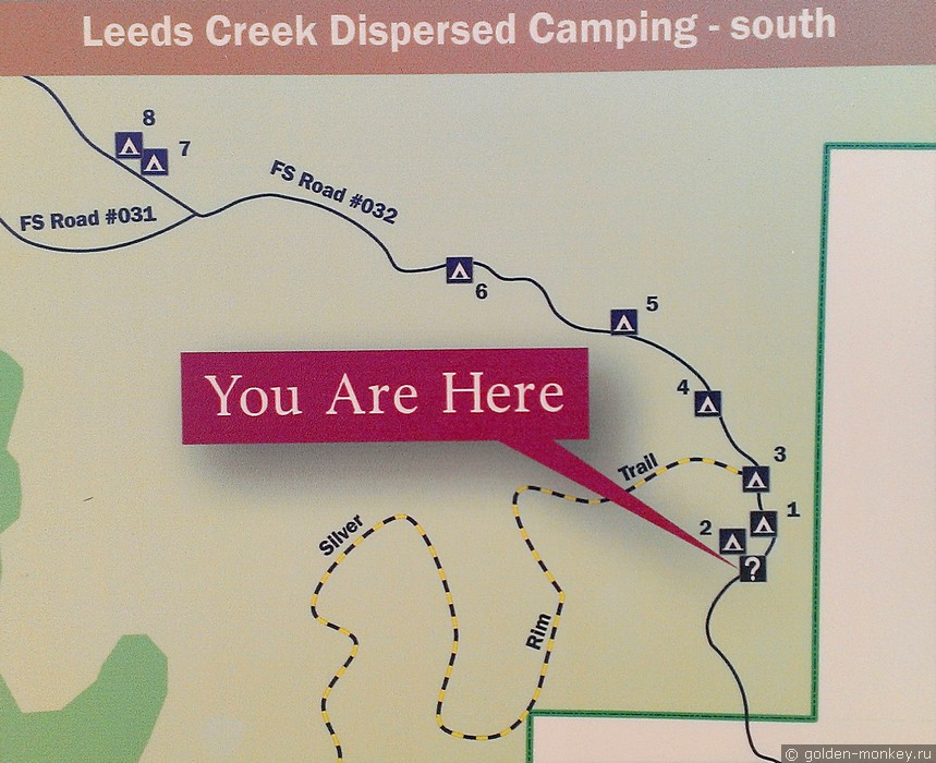 Схема лагеря Leeds Creek Camping, национальный лес недалеко от парка Зайон