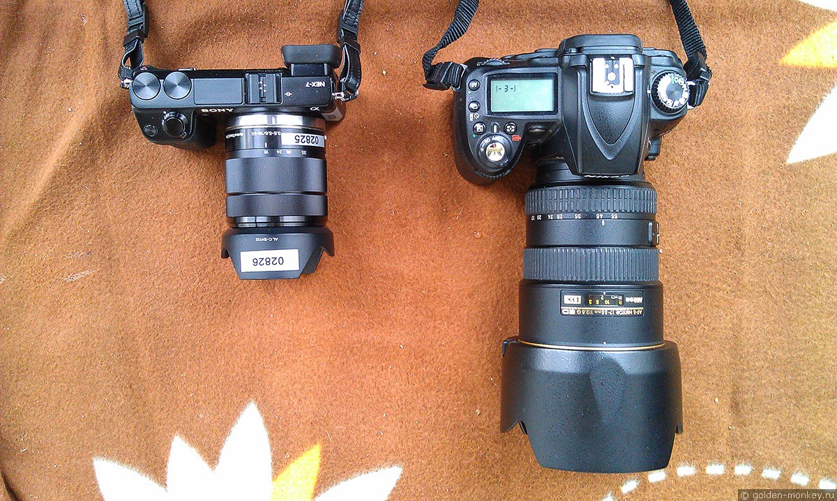 Sony NEX-7 и Nikon D90
